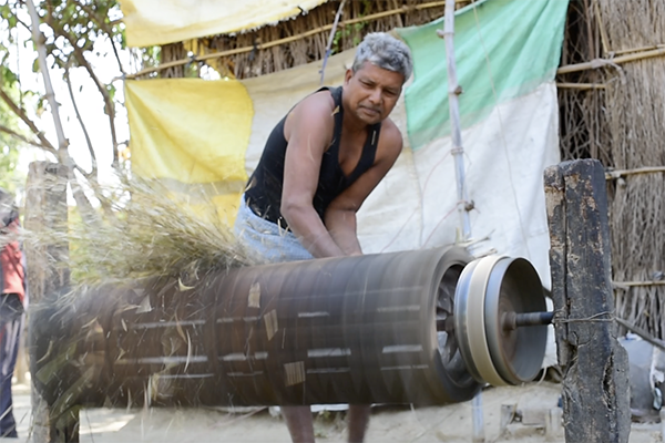 A man at a wheat thresher in India.