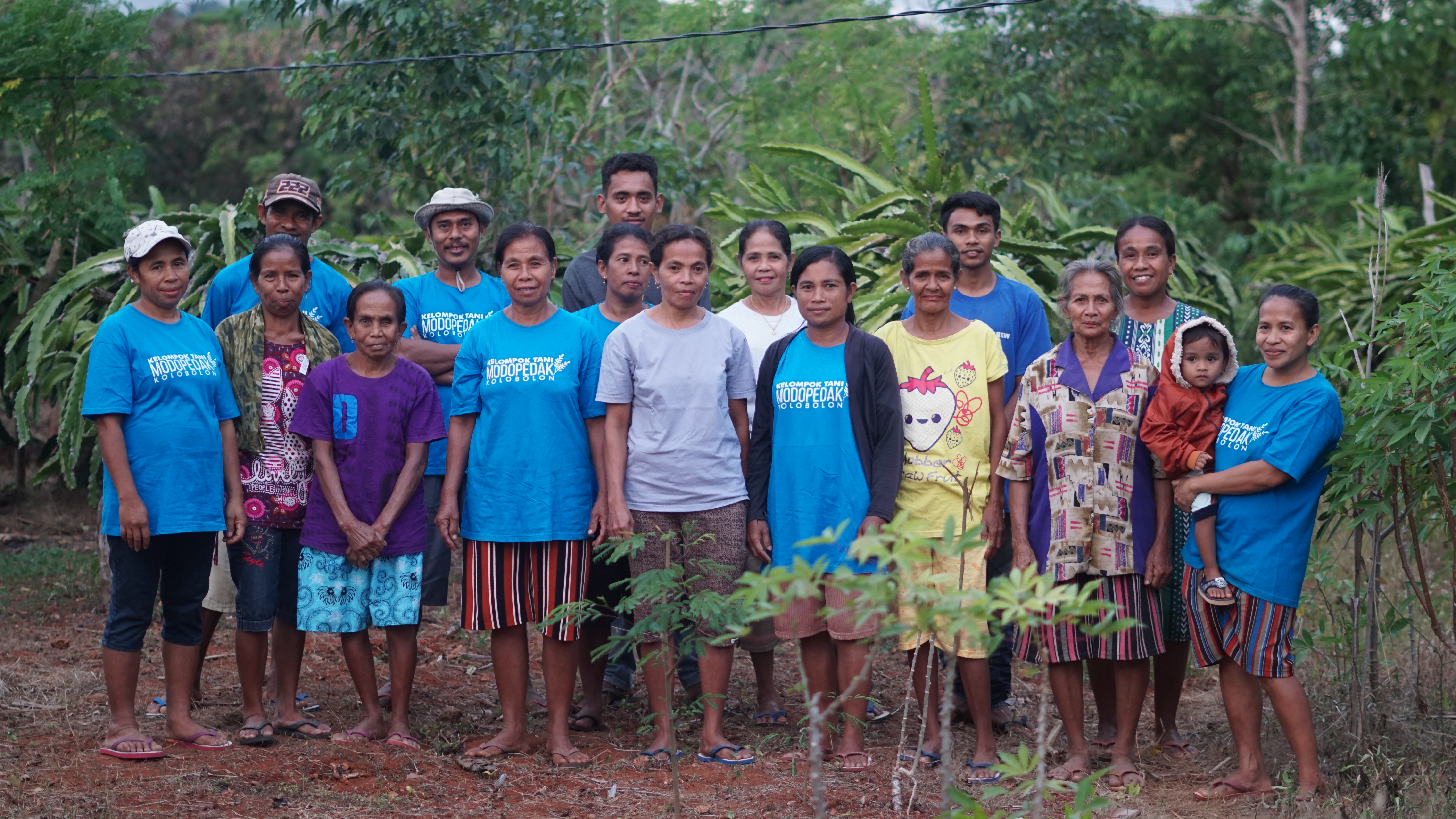 Dragonfruit farm workers