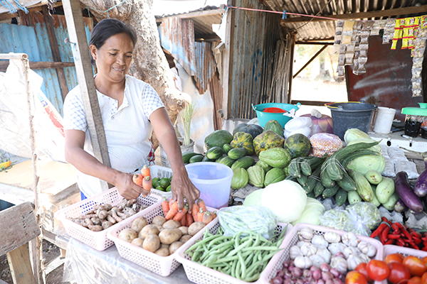 Aplonia veg stall Aplonia veg stall